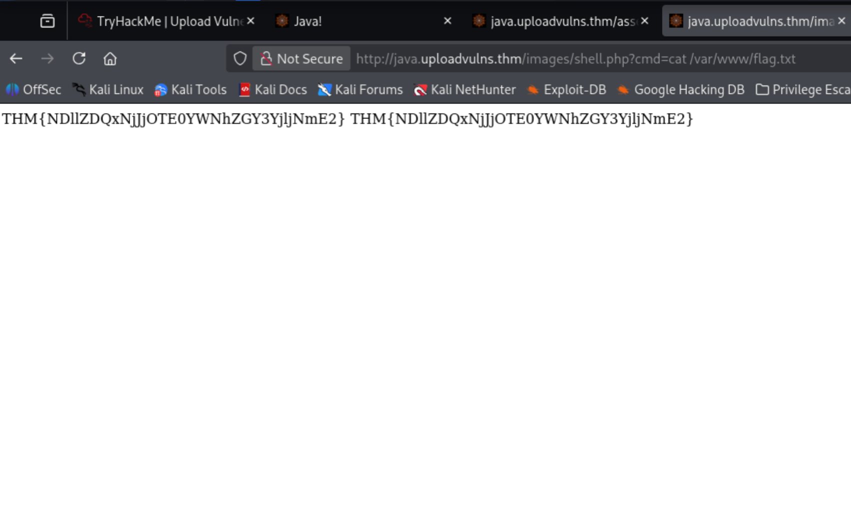 Flag retrieved via webshell command execution